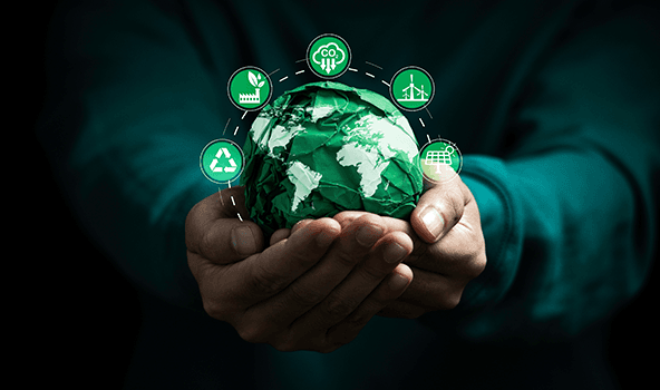 Championing Sustainability