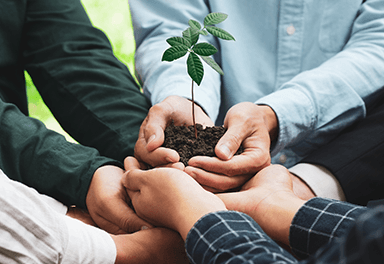 Robi Corporate Responsibility