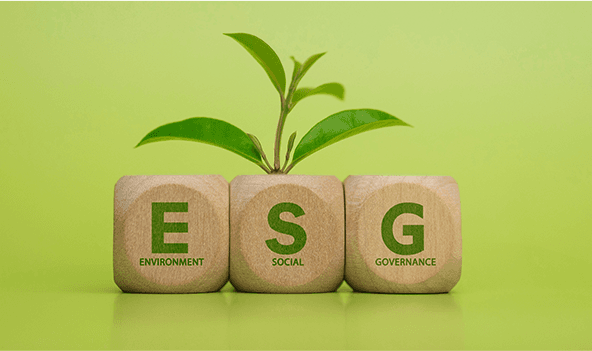 What ESG means to Robi